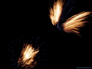 Fireworks #1: Rovinj annual fireworks dislpay
