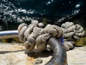 Rope: At the Harbour