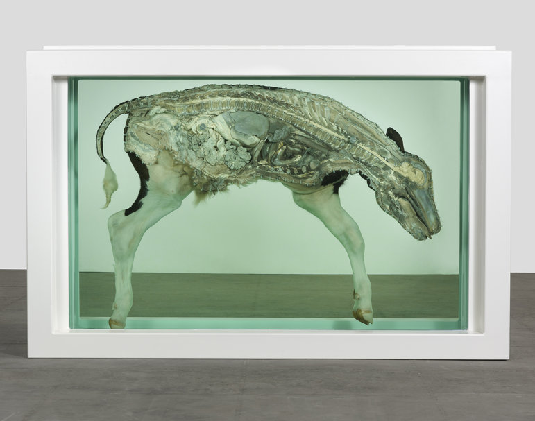 'The Prodigal Son' by Damien Hirst, 1994
